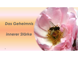 Webinar: Das Geheimnis innerer Stärke - Persönlichkeitstraining