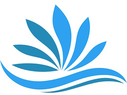 Webinar: Reset Yourself kennenlernen