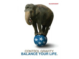 Webinar: Purzelnde Pfunde durch Balance - Mitmach-Workshop