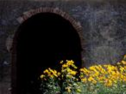 Webinar: Tunneln, das hyperluminare Coachingmodul