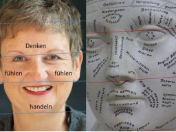Webinar: Basis- und Vertiefungs-Webinar Face Reading Organsprache