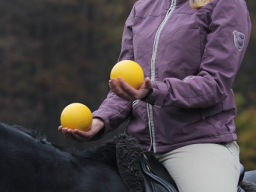 Webinar: Grundlagen - Franklinbälle im Reiten