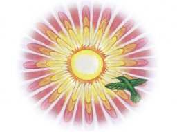 Webinar: Inspiration & Meditation - Thema: Müdigkeit & Erschöpfung