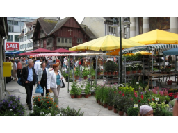 Webinar: Clevere Preismodelle 3/3