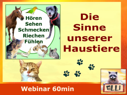 Webinar: Die Sinne unserer Haustiere