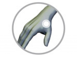 Webinar: Lifewave - Lange leben. Gut leben.