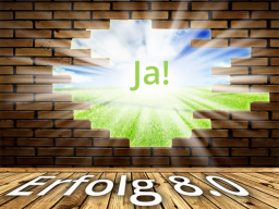 Webinar: Erfolg 8.0