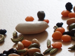 Webinar: Samentherapie - Fragen & Antworten