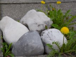 Webinar: Die Kraft hinter der Verletzlichkeit
