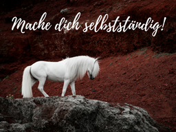 Webinar: Vom Hobby zur Selbstständigkeit