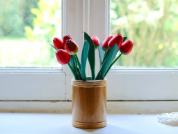 Webinar: Wie sorge ich für ein gesundes Zuhause und Balance?