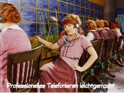 Webinar: Telefontraining
