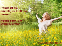 Webinar: Freude - der Weg zum Erfolg