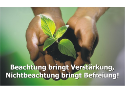 Webinar: Krankheit als Weg