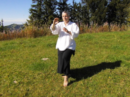 Webinar: Tai-Chi-GODO® continuo