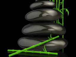 Webinar: Power Mental Training 2.0
