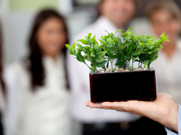 Webinar: Ausbildung zum Strategiecoach der EKS-Akademie