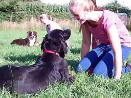 Webinar: Crossdogging Einsteiger Webinar