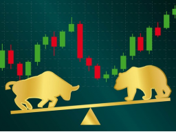 Webinar: Master Trading Video Kurs - Igor Brandt