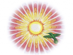 Webinar: Inspiration & Mediation - Thema: "Eltern & Ahnen"