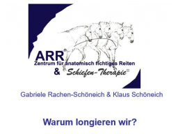 Webinar: Das Geheimnis der Biomechanik