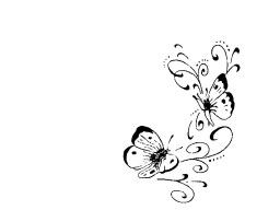 Webinar: Modul 1: Stress vs. Bewusstsein