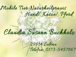 Webinar: Chancen, Ziele, Grenzen einer Tierheilpraxis!