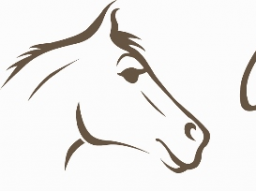 Webinar: Oft nicht erkannt - Magengeschwüre beim Pferd