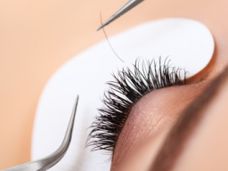 Webinar: Wimpernschulung für die Wimpernextensions / Wimpernverdichtung (1. Teil Theorie)