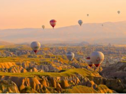 Webinar: Aus vollem Herzen leben - Coaching