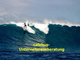 Webinar: Catchup-Unternehmensberatung