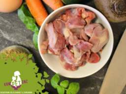 Webinar: Das ABC der Hundeernährung - Schnupperkurs