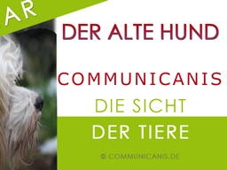 Webinar: Hundesenioren - was sie brauchen, was ihnen wichtig ist.