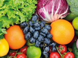 Webinar: Wie ernähren wir uns gesund!
