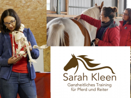 Webinar: Online-Seminar Gesund IM und UNTERM Sattel
