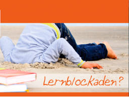 Webinar: Perfect Brain - Lernen ist doch kinderleicht!