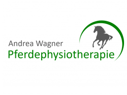 Webinar: Pferdemassage II