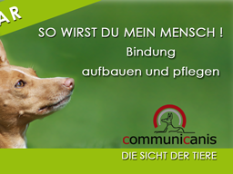 Webinar: So wirst du mein Mensch. Bindungstrainig. & Wir spiegeln uns. Gemeinsamkeiten. (2 Webinare 1 Preis)