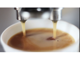Webinar: Certified Web Developer JavaScript Teil 1