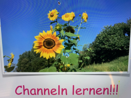 Webinar: Channeln lernen