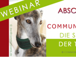 Webinar: Abschied aus tierischer Sicht