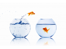 Webinar: Wasserstoff (H-) Wasser und seine Bedeutung in Therapie und Prävention