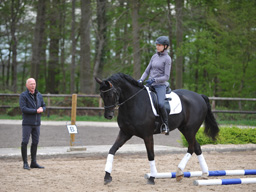 Webinar: Vermittlungskompetenz: Wie sag ich´s meinem Reitschüler?!