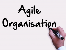 Webinar: Auf dem Weg zur agilen Organisation mit SCRUM