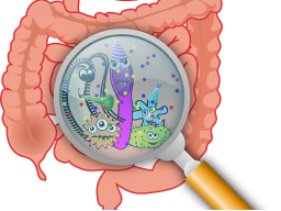 Webinar: Leaky Gut Syndrom - wenn der Darmschutz löchrig ist