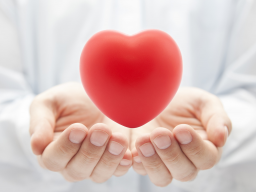 Webinar: Krankheit und Heilung