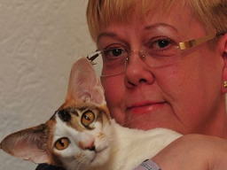 Webinar: Meine Katze hat Verstopfung