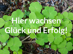 Webinar: Hier wachsen Glück und Erfolg!