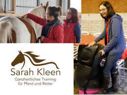 Webinar: Gesund Reiten - Das sollte jeder Reiter wissen!