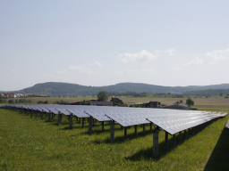 Webinar: Ausschreibung von PV-Freiflächen